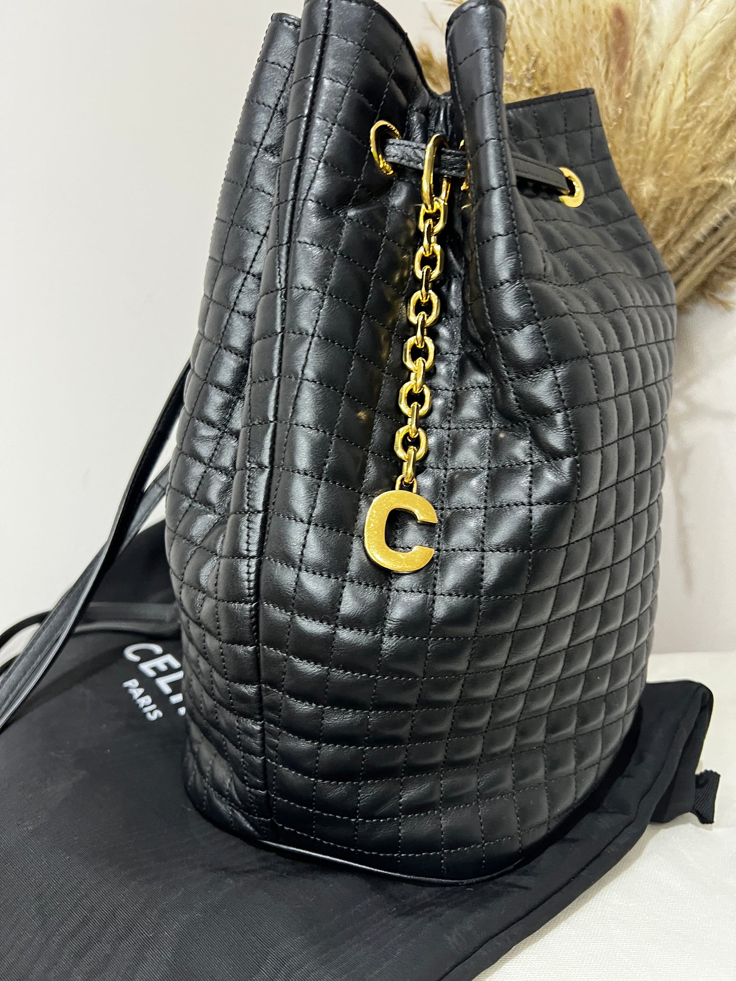 Celine Leather Backpack Bucket Bag
