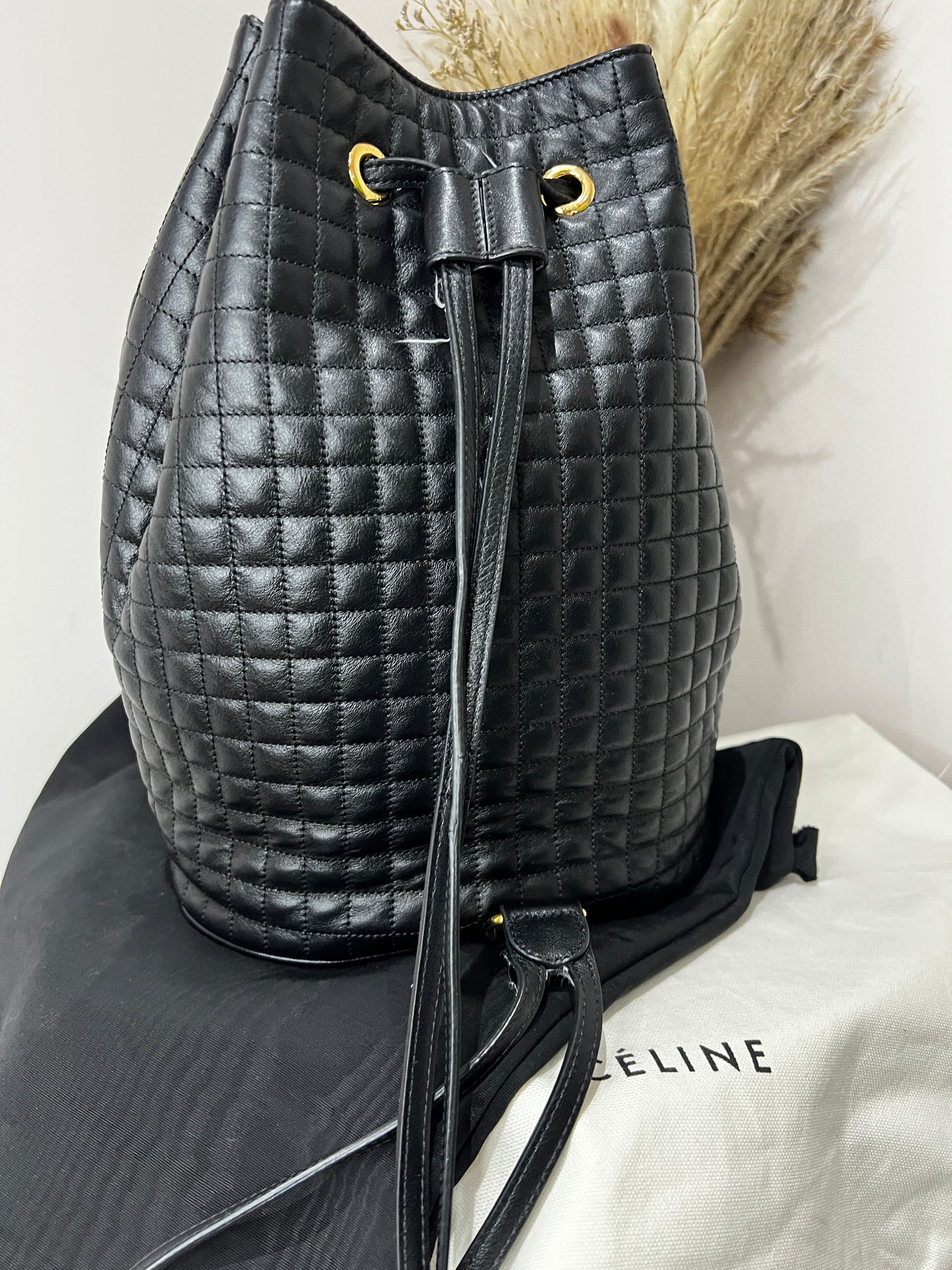 Celine Leather Backpack Bucket Bag