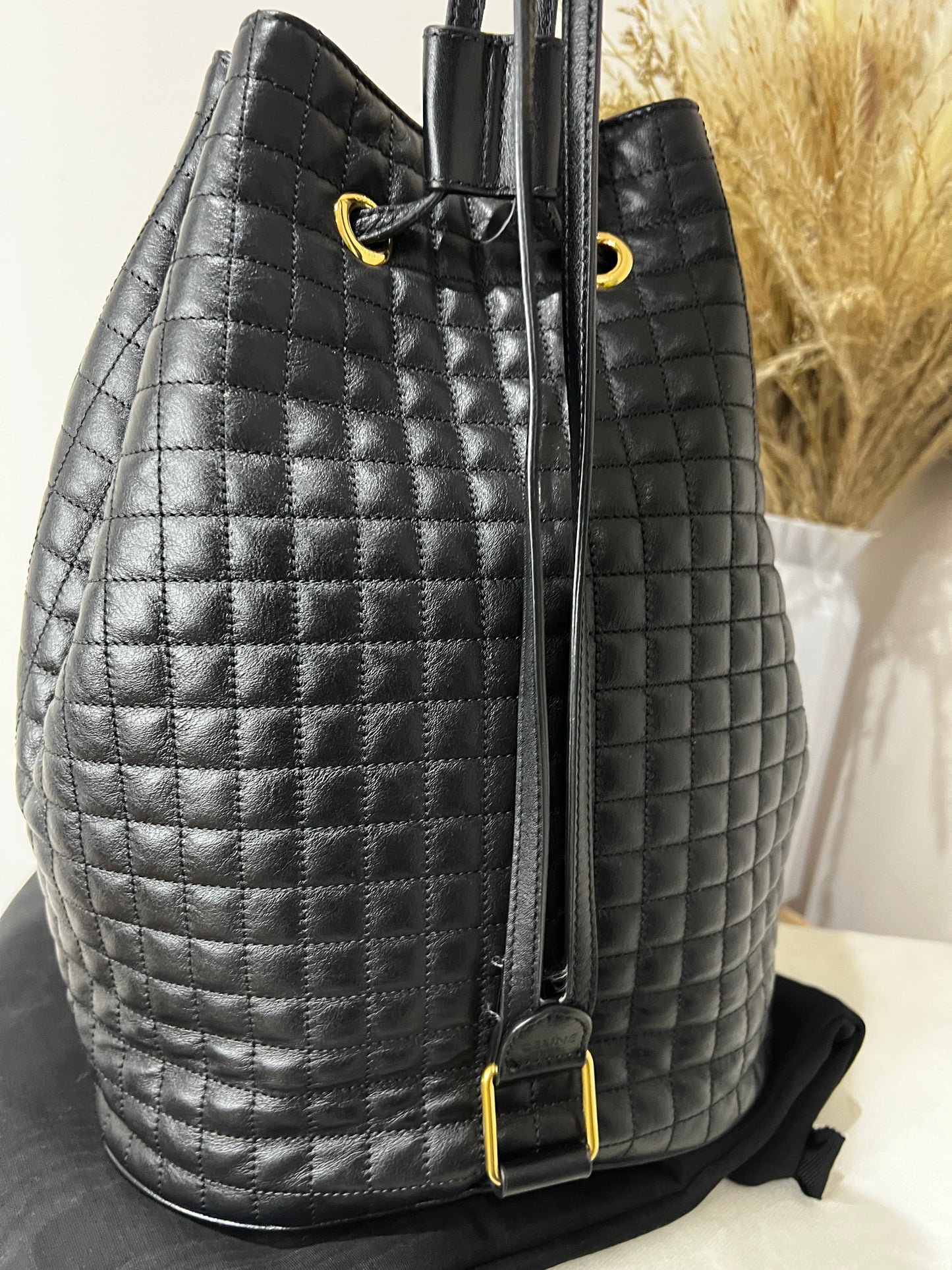 Celine Leather Backpack Bucket Bag