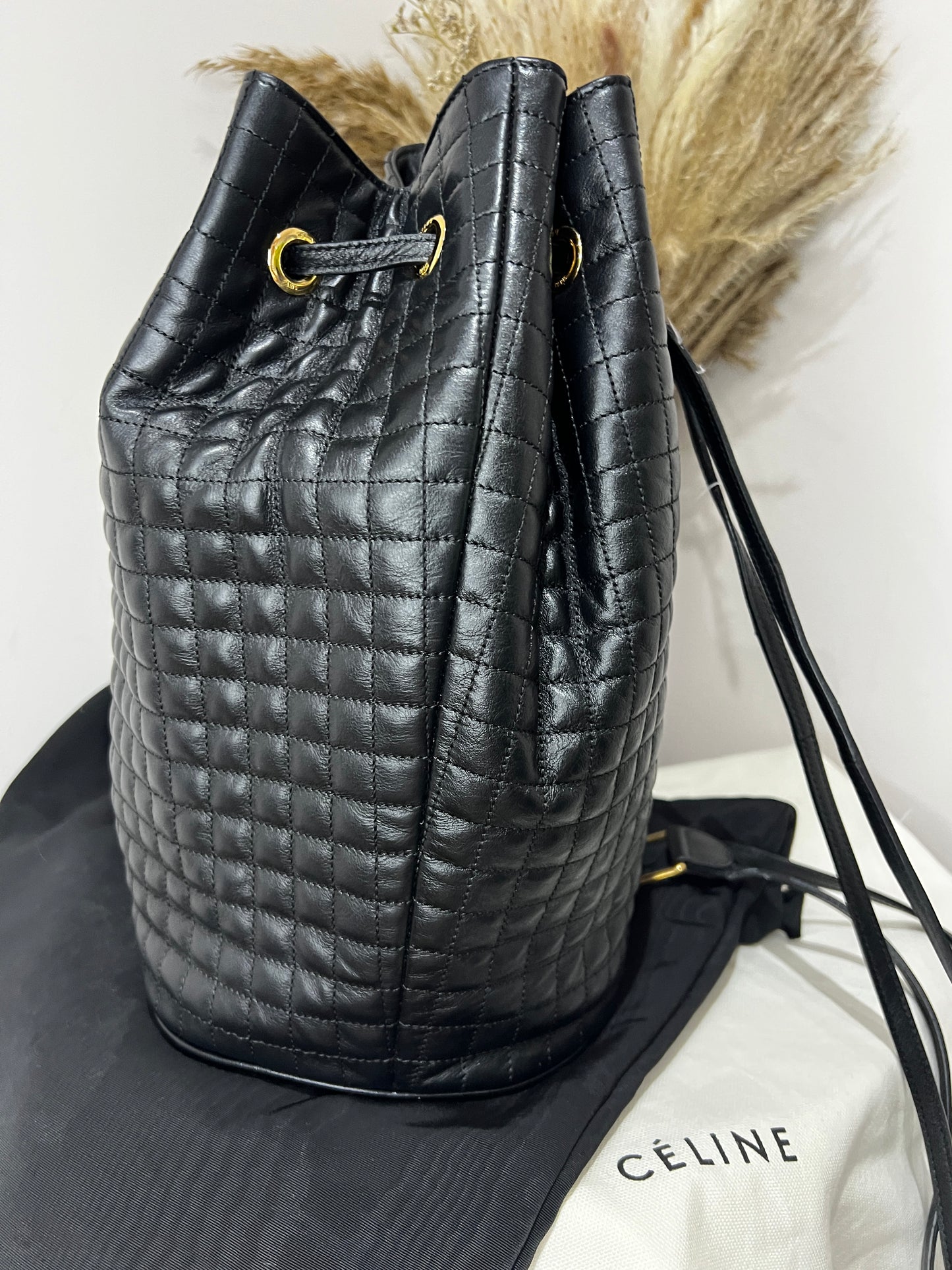 Celine Leather Backpack Bucket Bag