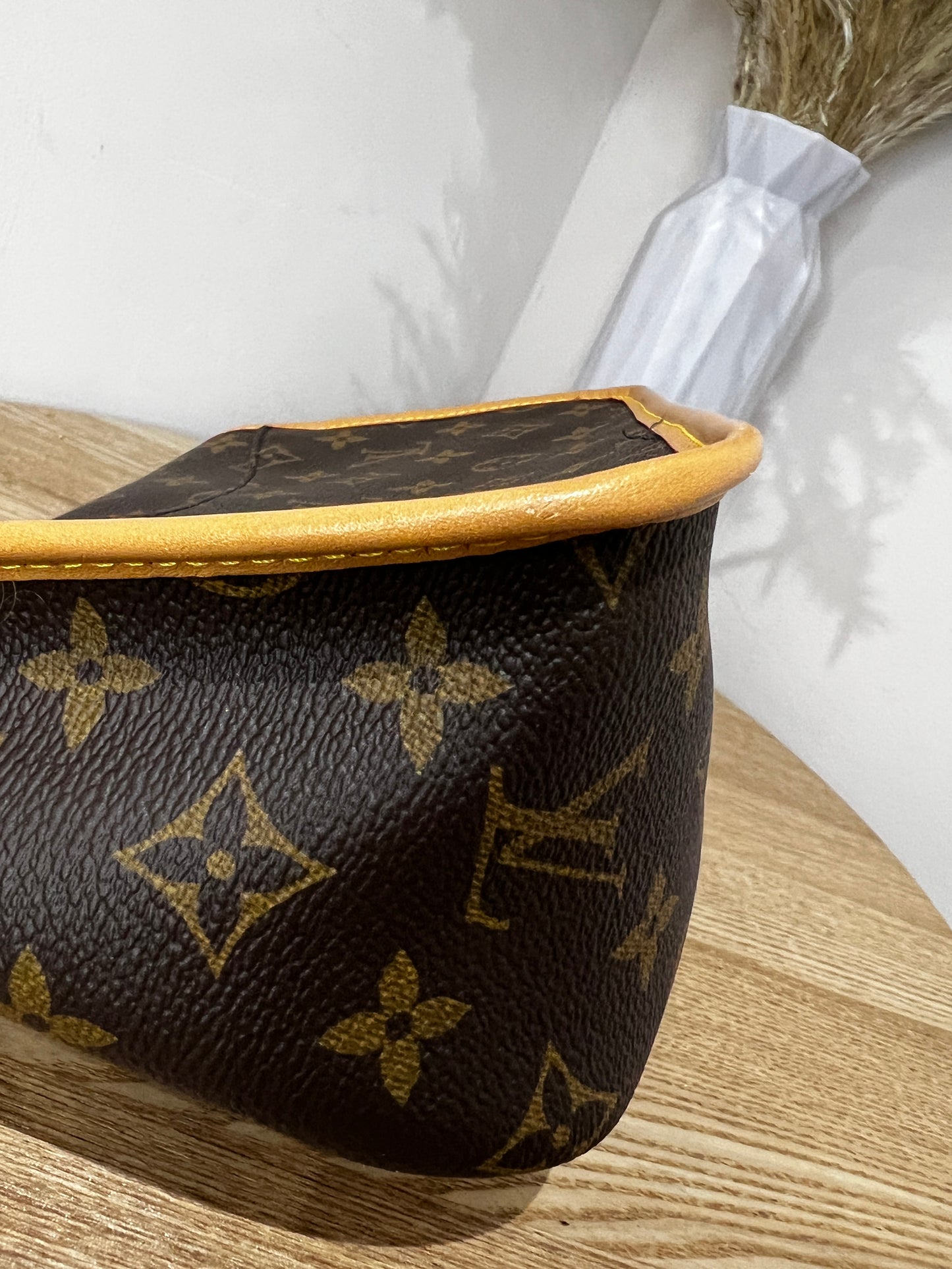 Louis Vuitton Diane Satchel with additional canvas strap