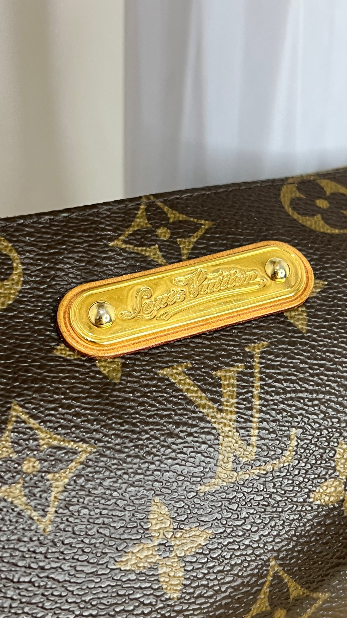 Louis Vuitton Brown Monogram Eva Pochette with Dual Strap